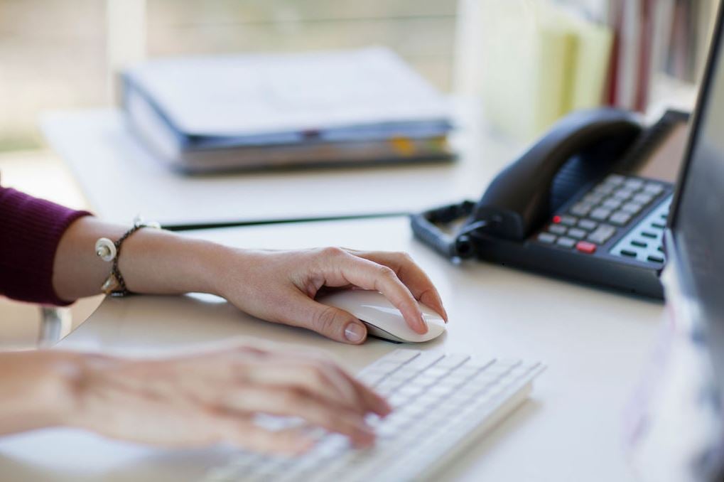 Woman using the computer