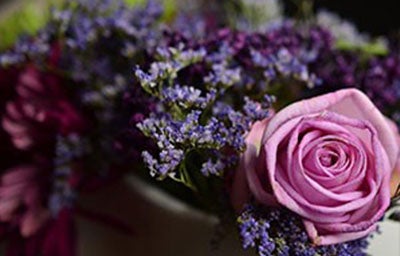 Support Trinity Health Peer Recovery Support Services with Select Flower Purchases at Albertsons Stores