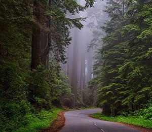 Serving TogetherImage: Virtually Visit U.S. National Parks New Live Your Whole Life Challenge Starts Aug. 10